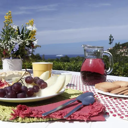 Elba Island Pool & Tennis 4*